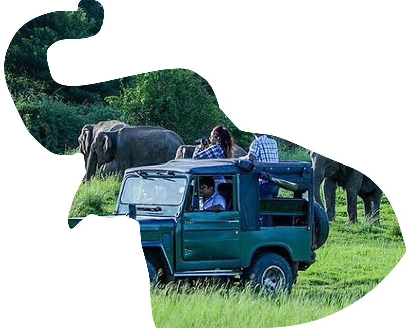 Safari jeep with elephants in Udawalawe National Park